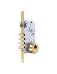 CERRADURA SEG. MAD.EMB. R200B E-60MM 1P E700L LATON PULIDO T