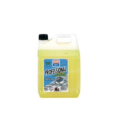 ANTICONGELANTE 30% PROFESSIONAL 5 LT AMARILLO