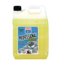 ANTICONGELANTE 30% PROFESSIONAL 5 LT AMARILLO