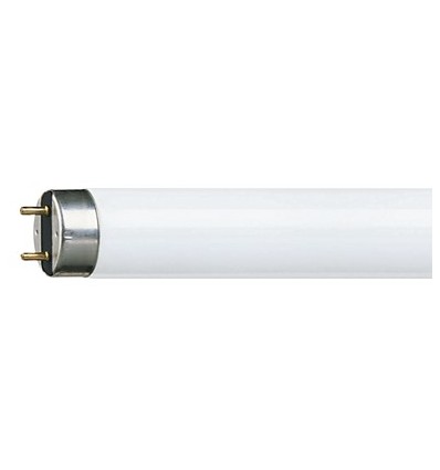 TUBO FLUORESCENTE GAMA 80 36W/84 PH