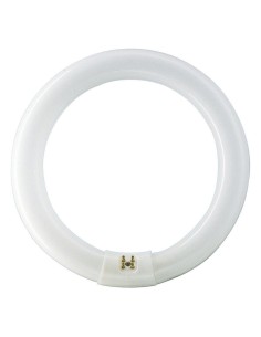 TUBO FLUORESCENTE CIRCULAR 32W/86 PH LUZ FRIA