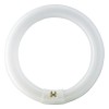 TUBO FLUORESCENTE CIRCULAR 32W/86 PH LUZ FRIA