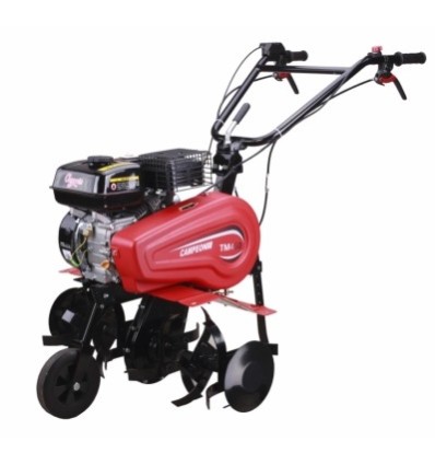 MOTOAZADA JARDIN 196CC/4T + ESPARRAGO CAMPEON TM-450 G 6,5HP