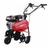 MOTOAZADA JARDIN 196CC/4T + ESPARRAGO CAMPEON TM-450 G 6,5HP