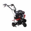 MOTOAZADA JARDIN 196CC/4T + ESPARRAGO CAMPEON TM-450 G 6,5HP