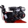 MOTOAZADA JARDIN 196CC/4T + ESPARRAGO CAMPEON TM-450 G 6,5HP