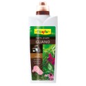 ABONO PLANT 1000ML LIQ FLOWER GUANO 1-10586