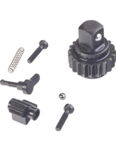 JUEGO REPARACION RUEDA CARRACA CON ANGULO DE ACTUACION 18 GR 20 DIENTES 1/4 PULG