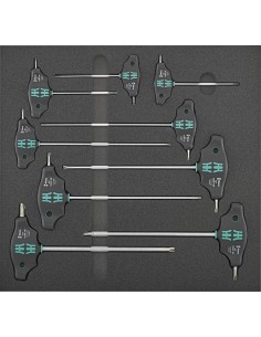 MODULO HERRAMIENTA 2-3 MANGO EN T TORX