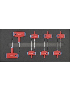 MODULO HERRAMIENTA 2-3 MANGO EN T TORX