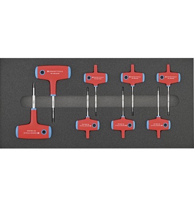 MODULO HERRAMIENTA 2-3 MANGO EN T TORX