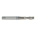 Macho de roscar para máquinas M DIN371 HSS rectificado tipo C