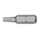 Punta Torx seguridad STANDARD guía 1/4" corta