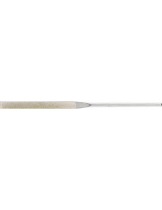 Lima habilis (lima mano) diamante punta roma D126
