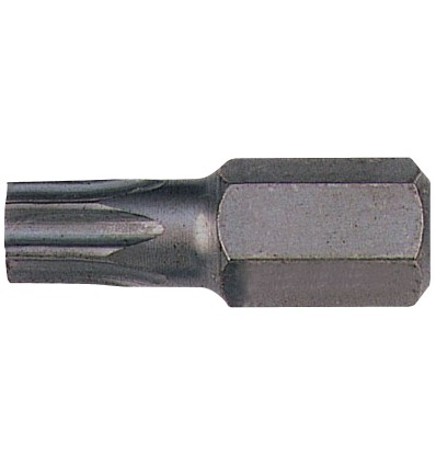 Punta TORX 10 mm