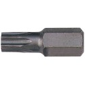 Punta TORX 10 mm