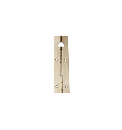 Bisagra piano 32 mm hierro latonado