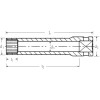 Llave de vaso largo 1/4" DIN 3124 SPLINE-DRIVE mod 40ALSP