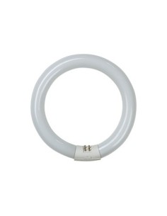 Tubo iluminación fluorescente circular 6500K