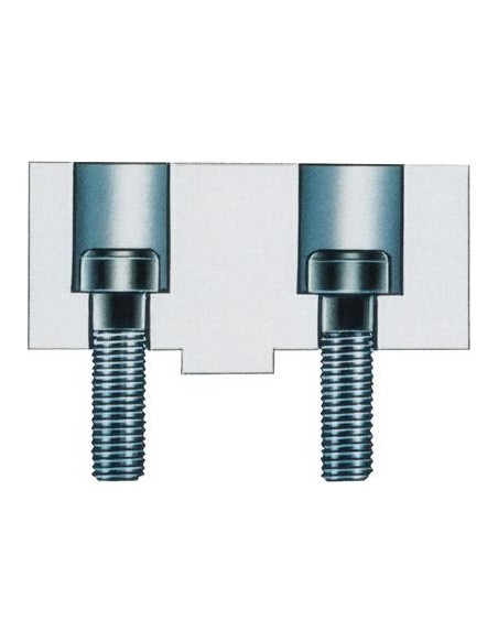 Tornillo garras superior tamaño M6x20