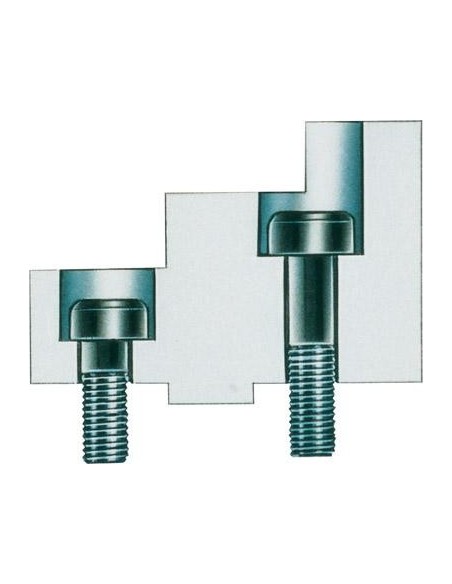 Tornillo garras superior tamaño M6x20