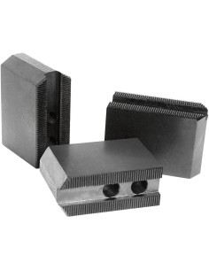 Garra superior, biselada  dentado