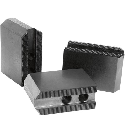 Garra superior, biselada  dentado