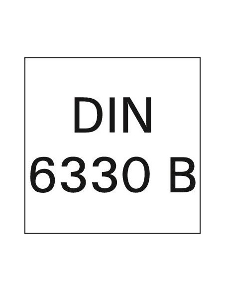 Tuerca hexagonalagonal DIN6330B