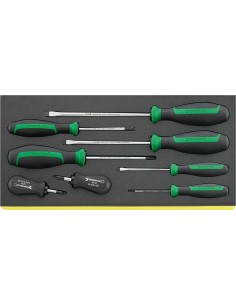 JUEGO DE DESTORNILLADORES EN BANDEJA TCS TCS 4620-4737/8