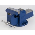 TORNILLO BANCO 100MM