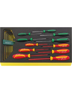 JUEGO HERRAMIENTAS. SISTEMA BANDEJAS TOOL CONTROL TCS WT 4650-4665-1