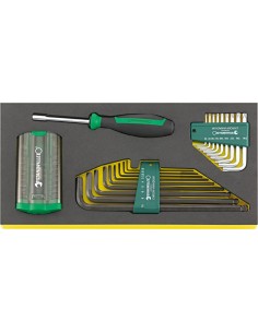 JUEGO HERRAMIENTAS. SISTEMA BANDEJAS TOOL CONTROL TCS 1201/4000/10766/38