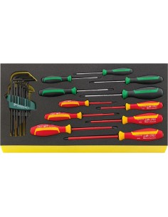 JUEGO HERRAMIENTAS. SISTEMA BANDEJAS TOOL CONTROL TCS WT 4650-4665