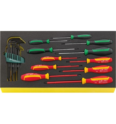 JUEGO HERRAMIENTAS. SISTEMA BANDEJAS TOOL CONTROL TCS WT 4650-4665