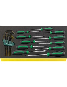 JUEGO HERRAMIENTAS. SISTEMA BANDEJAS TOOL CONTROL TCS WT 4622-4650-1