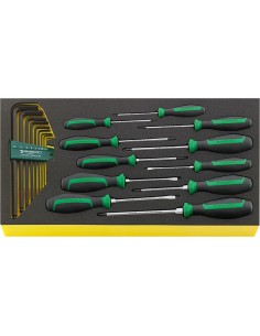 JUEGO HERRAMIENTAS. SISTEMA BANDEJAS TOOL CONTROL TCS WT 4622-4650