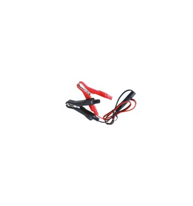 MEMORIA COCHE PINZA 1498SM-CP