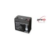 BATERIA REPUESTO GENESIS EP16 1498B/12-R02