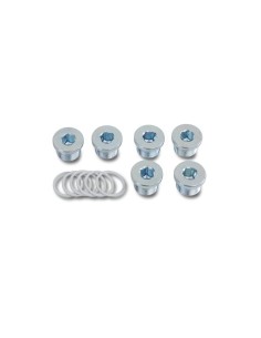 Juego tapones de aceite y arandelas mod 1495T