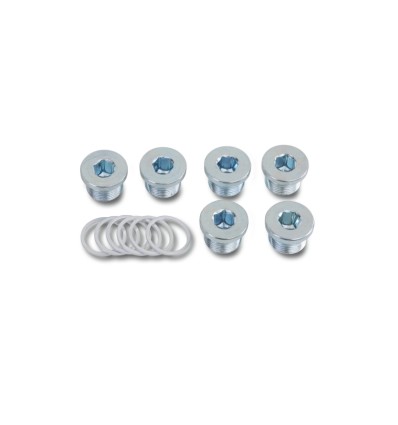 Juego tapones de aceite y arandelas mod 1495T