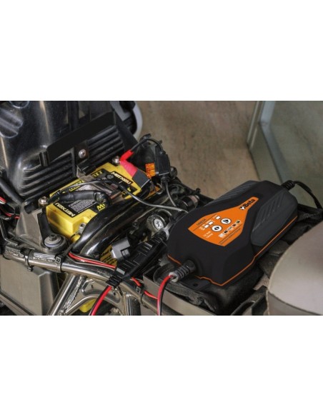 Cargador baterias electricas mod 1498