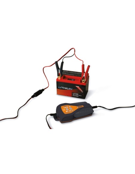 Cargador baterias electricas mod 1498
