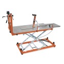 CABALLETE DE REPARACION PARA E-BIKE 3910