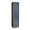 ARMARIO CHAPA DE 1 PUERTA C55A1