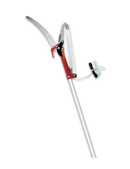 PERTIGA TELESCOPICA CORTARRAMAS PROFESIONAL 2 + 2 M