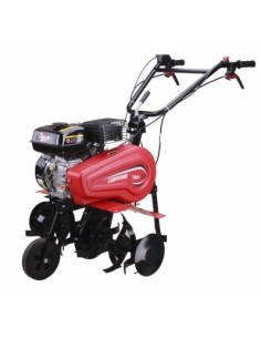MOTOAZADA JARDIN 196CC/4T + ESPARRAGO CAMPEON TM-450 G 6.5HP