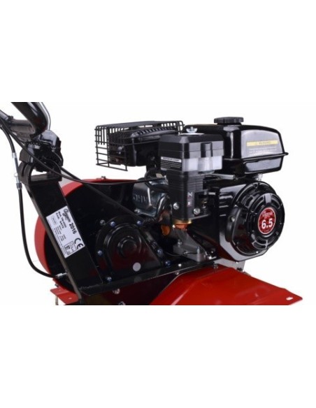 MOTOAZADA JARDIN 196CC/4T + ESPARRAGO CAMPEON TM-450 G 6,5HP