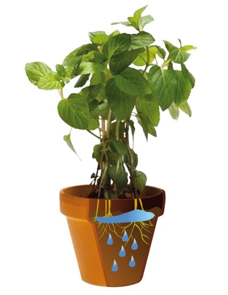 GEL RIEGO PLANTAS AQC C2141 200 ML