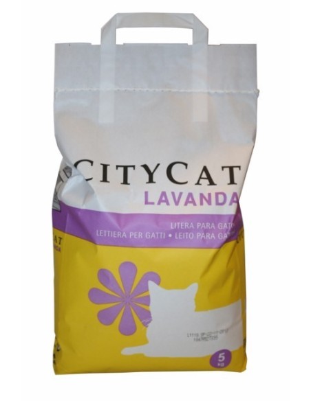 ARENA GATO CITY CAT ABSORBENTE PERF PCITYCAR005K01 5 KG