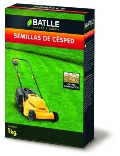 Semilla cesped inglés diploide RAYGRASS